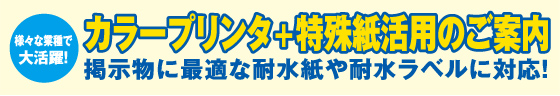 カラープリンタ＋特殊紙活用のご案内